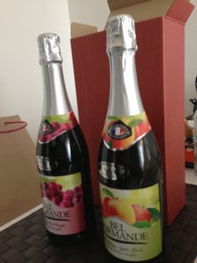 市川投資綜合研究所